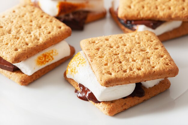 Homemade marshmallow s'mores with chocolate on crackers