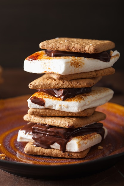 Homemade marshmallow s'mores with chocolate on crackers