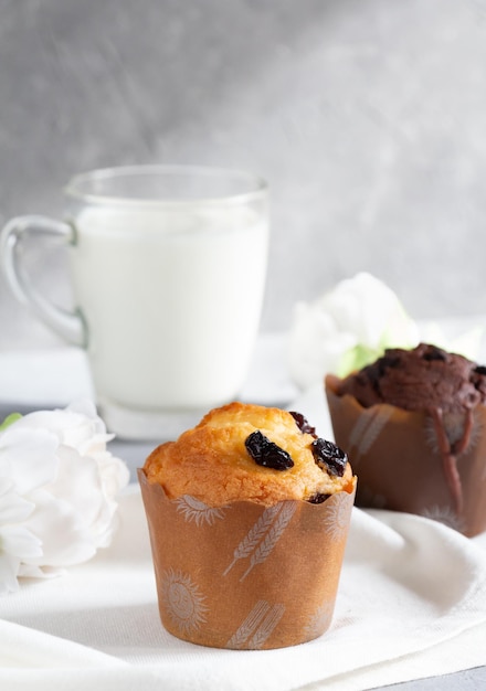 Foto muffin fatti in casa con cioccolato all'uvetta e bicchiere di latte su sfondo grigio con spazio per la copia