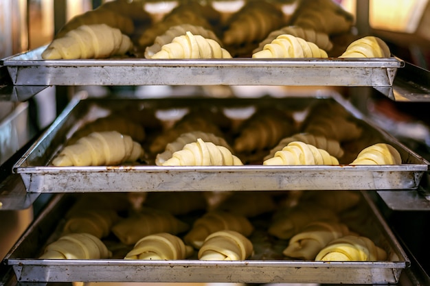 Homemade raw croissants on baking tray baked in the oven