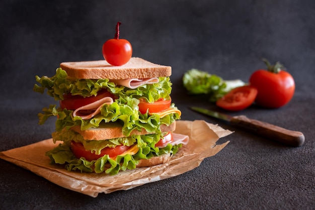 チーズハムトマトと野菜の自家製サンドイッチ