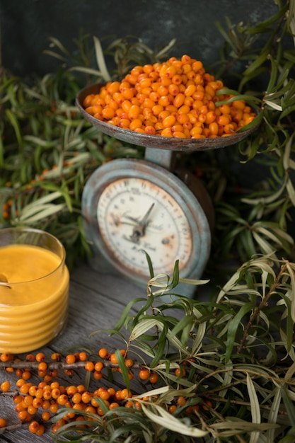 Homemade sea buckthorn curd or cream for the filling tarts and muffins