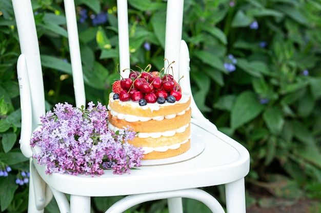 Homemade summer biscuit cake with cream and fresh berries in chair in the garden