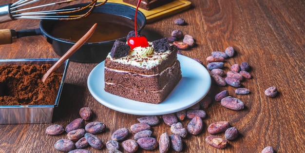 Gustosa torta al cioccolato fatta in casa con frutti di bosco e baker o chocolatier che prepara cioccolato e cacao