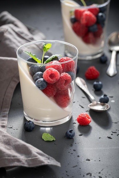 Homemade and tasty Panna Cotta made of berries and milk