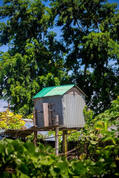 Homemade traditional pigeon house