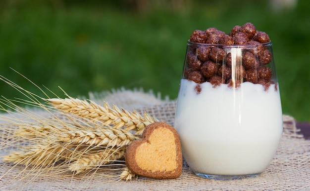 Homemade yogurt with chocolate balls and cookie