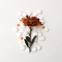 Гомеопатические травяные таблетки с растениями на белом фоне