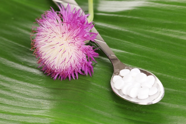 гомеопатические таблетки и цветок на зеленом листе, изолированный на белом