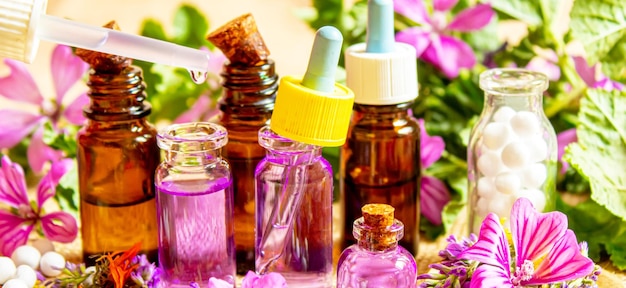 Homeopathy herbs and their extracts Selective focusnature