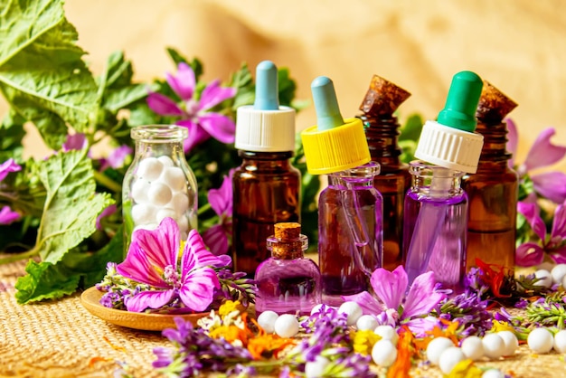 Homeopathy herbs and their extracts Selective focusnature