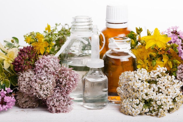 Homeopathy. A homeopathy concept with homeopathic medicine. Dried healing herbs and bottles of homeopathic globules.