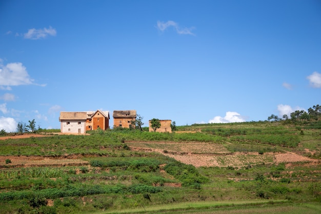 The homes of locals on the island of Madagascar