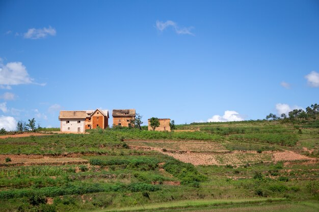 The homes of locals on the island of Madagascar