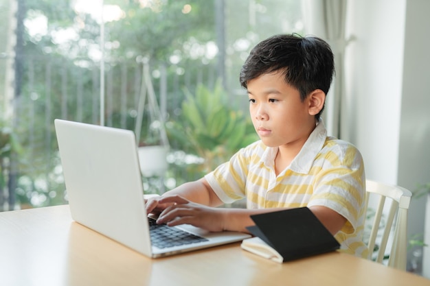 Homeschooling and distance learning for children