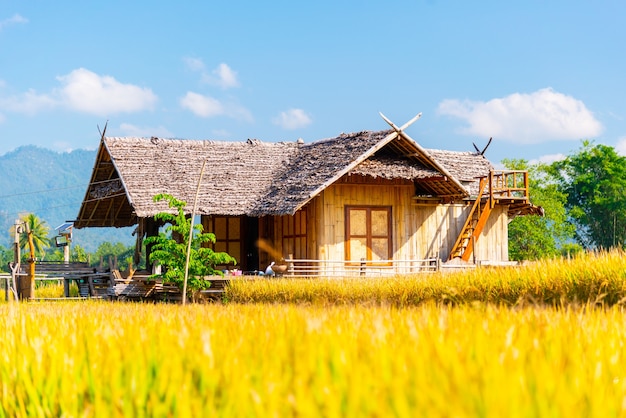 Homestay in the forest House made of bamboo at Chiang Dao chiangmai  thailand