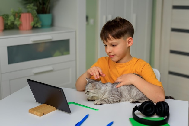 Homework remotely in quarantine elementary school child with
british cat doing homework on laptop