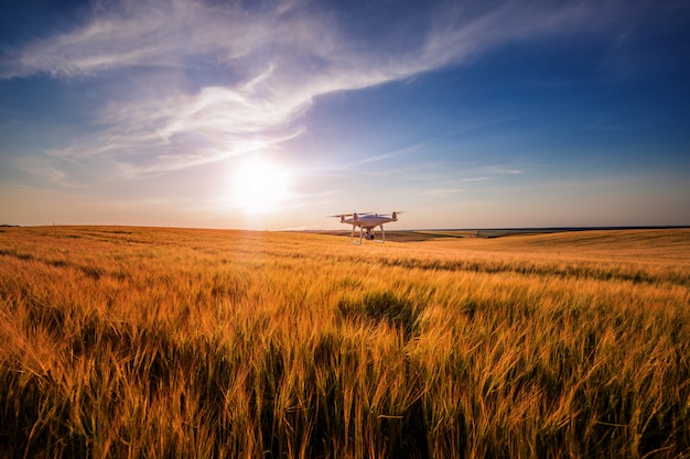 Hommel quadcopter op zoete maïs veld