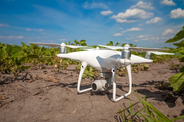 Hommel quadcopter op zoete maïs veld