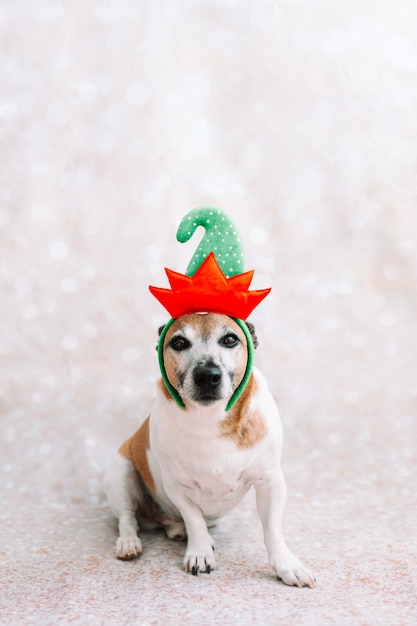 Hond die kerstdecor draagt op de achtergrond van kerstverlichting