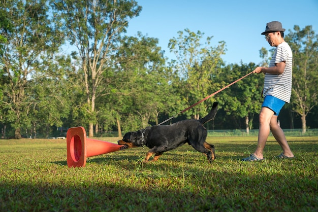 Hond die opwinding en agressie toont