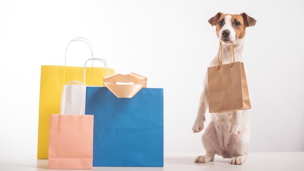 Foto hond die tegen een witte achtergrond staat