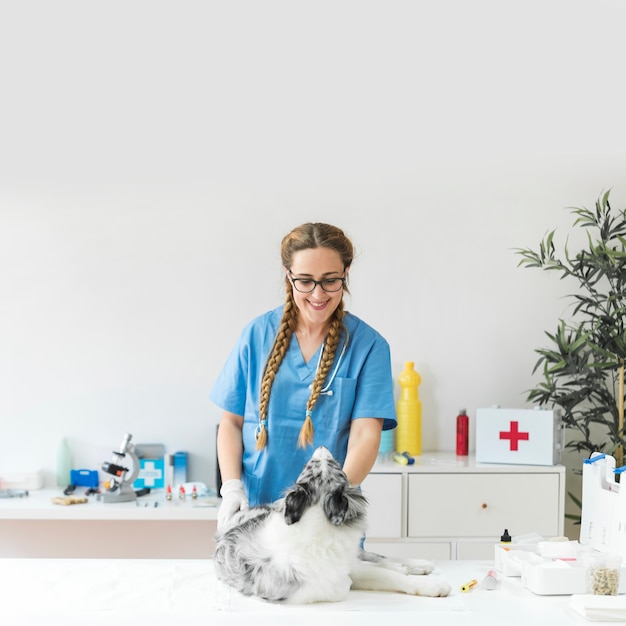 Foto hond die vrouwelijke dierenarts in de kliniek bekijkt