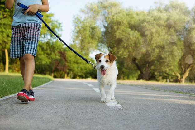 Hond en klein kind wandelen in het park. Gehoorzaamheid en vriendschapsconcept.