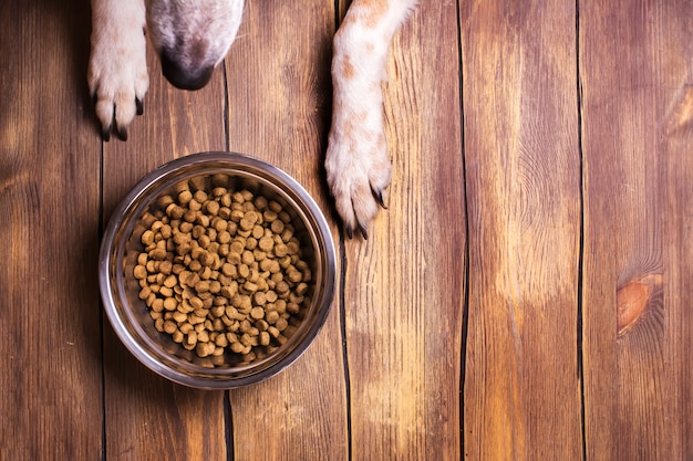 Hond en kom droog verbrokkeld voedsel