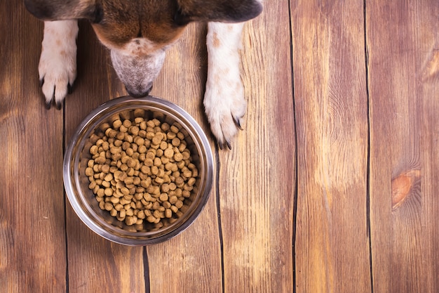 Hond en kom droog verbrokkeld voedsel