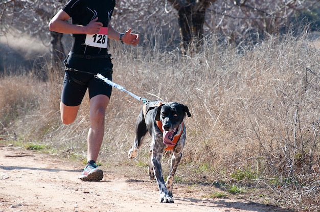 Hond en man nemen deel aan een populaire canicrossrace