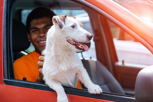 Hond jack russell zit in de auto met zijn lachende baasje
