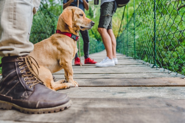 Hond met zijn eigenaren zittend op de houten hangbrug