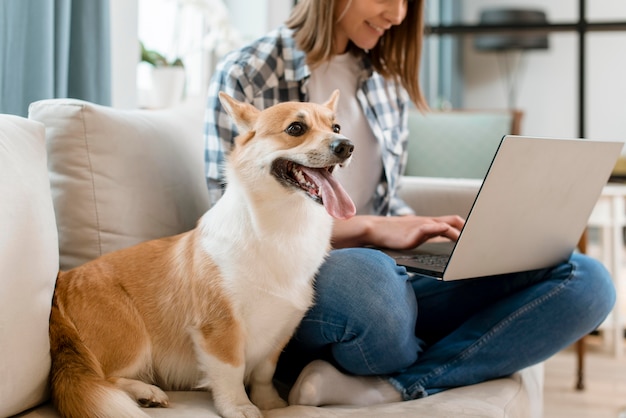 Hond op laag naast vrouw die aan laptop werkt