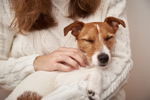 Hond slaapt op vrouwenhanden. Huisdier zorg concept