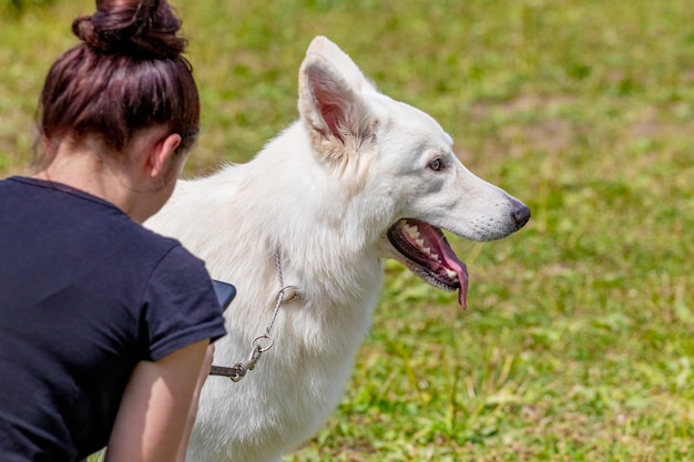 Hond van het witte Zwitserse herdersras in de buurt van zijn minnares. Meisje met een telefoon in de buurt van haar hond