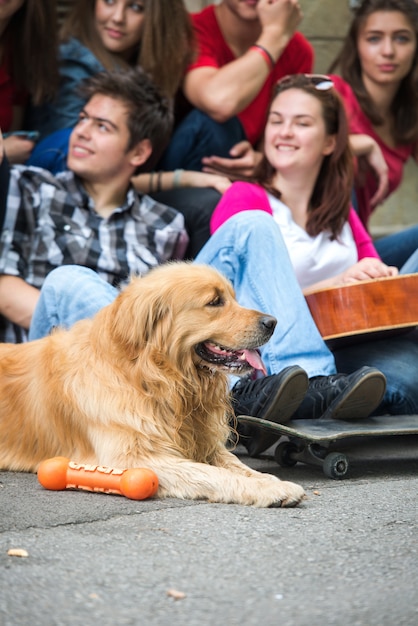 Hond zit naast tieners