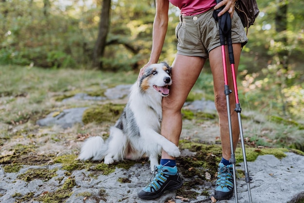 Honden liggen bij de voeten van de eigenaar tijdens een wandeling in het bos