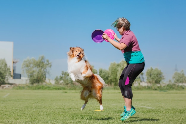 Hondenfrisbee Hond vangt vliegende schijf in sprong huisdier buiten spelen in een park Sportevenement achie