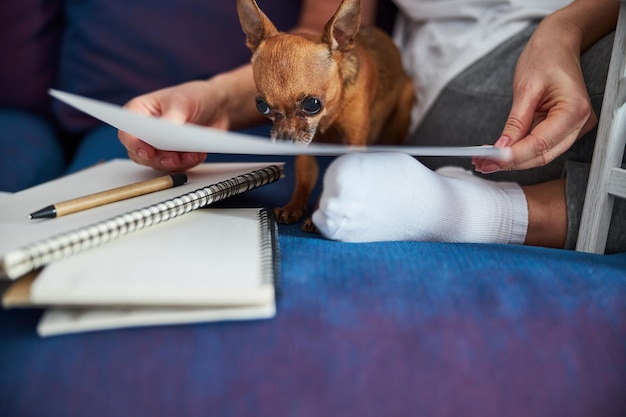 Foto hondje helpt vrouw met papierwerk
