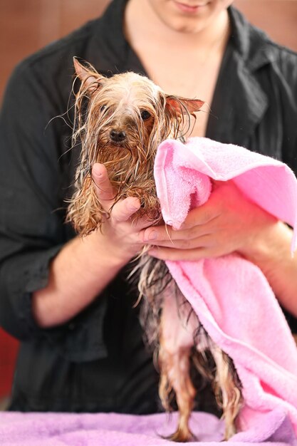 Hondskapper die hond met handdoek afvegen bij salon