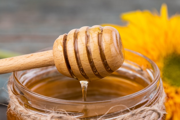 Honey background. Fresh honey in the pot with sunflower flower