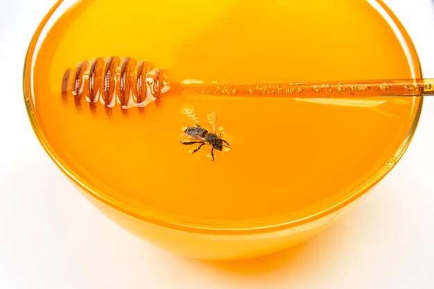 신선한 벌집 곤충과 유기농 비타민 식품의 배경에 있는 꿀벌