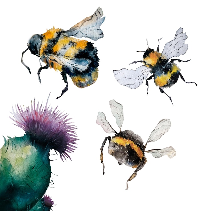 Photo honey bees and thistle watercolor illustration purple flower and bumblbees hand painted isolated on white backgrounds