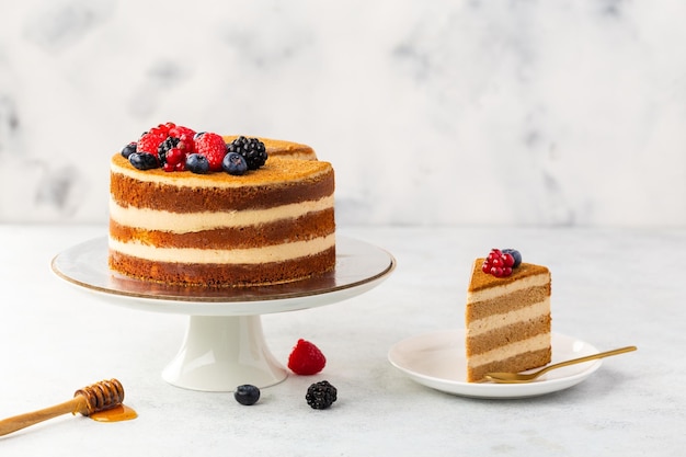 Медовый торт со слоями и заварным кремом на тарелке крупным планом Кусочек вкусного торта Медовик