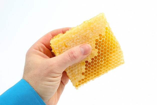 Honey comb in the hand on white 
