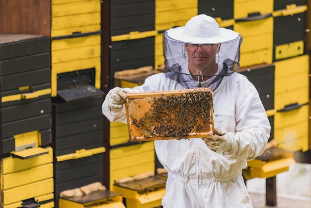 Фермер, выращивающий мед, стоит перед ульями и держит каркас улья.