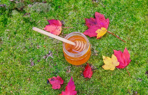 Honey in a glass jar with flowers melliferous herbs on a wooden surface Honey with flowers of juniper