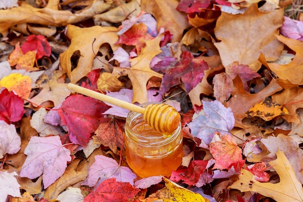 Honey in a glass jar with flowers melliferous herbs on a wooden surface Honey with flowers of juniper