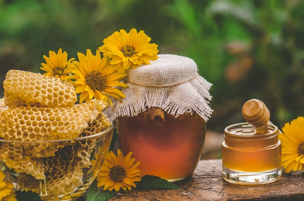 Barattolo e favo del miele sulla tavola di legno. barattolo e fiori del miele su una tavola di legno e su un fondo verde della natura. concetto di prodotto naturale